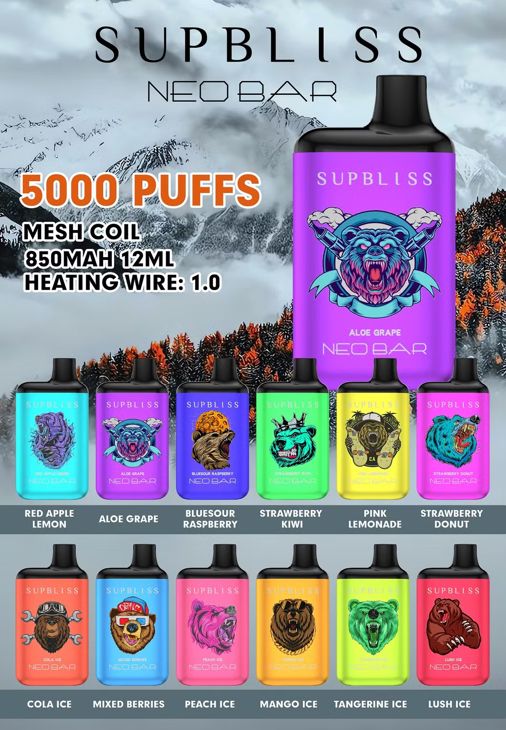 Supbliss Neo Bar 5000 Puffs Disposable Vape Wholesale suppliers